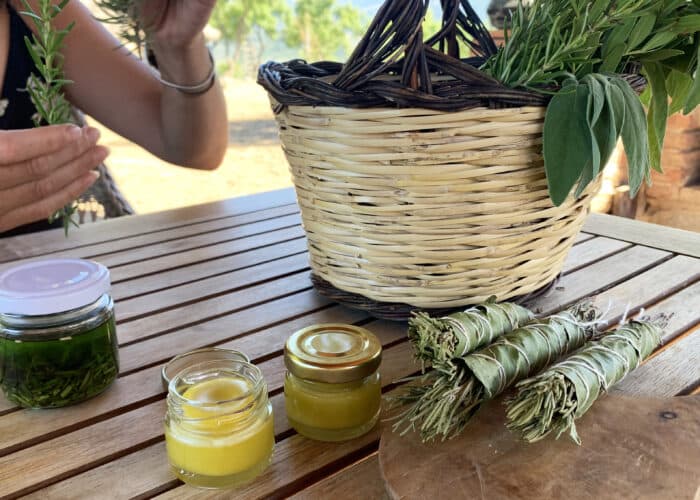 Piante e rimedi naturali